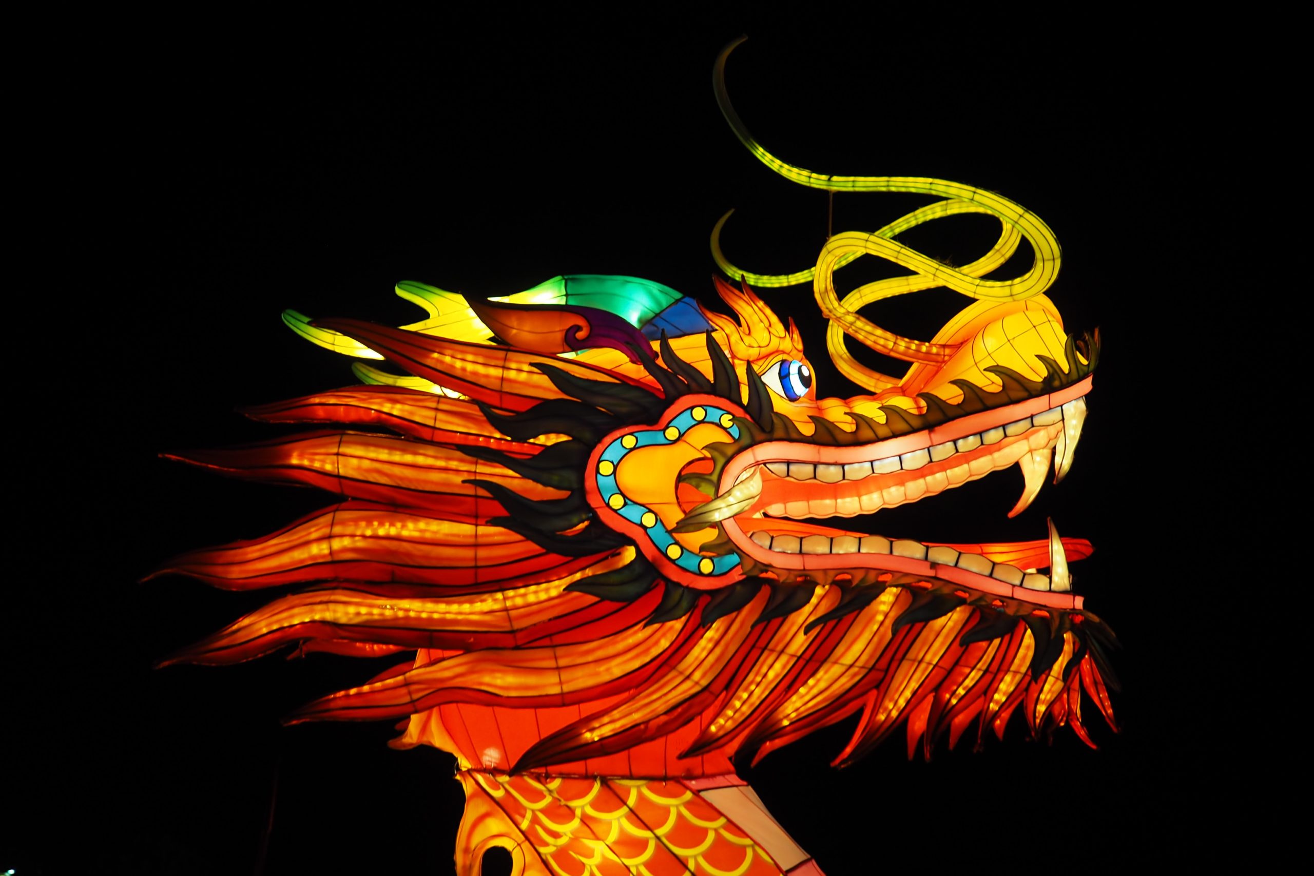 Richard Chan Orthodontics is Celebrating Chinese New Year!