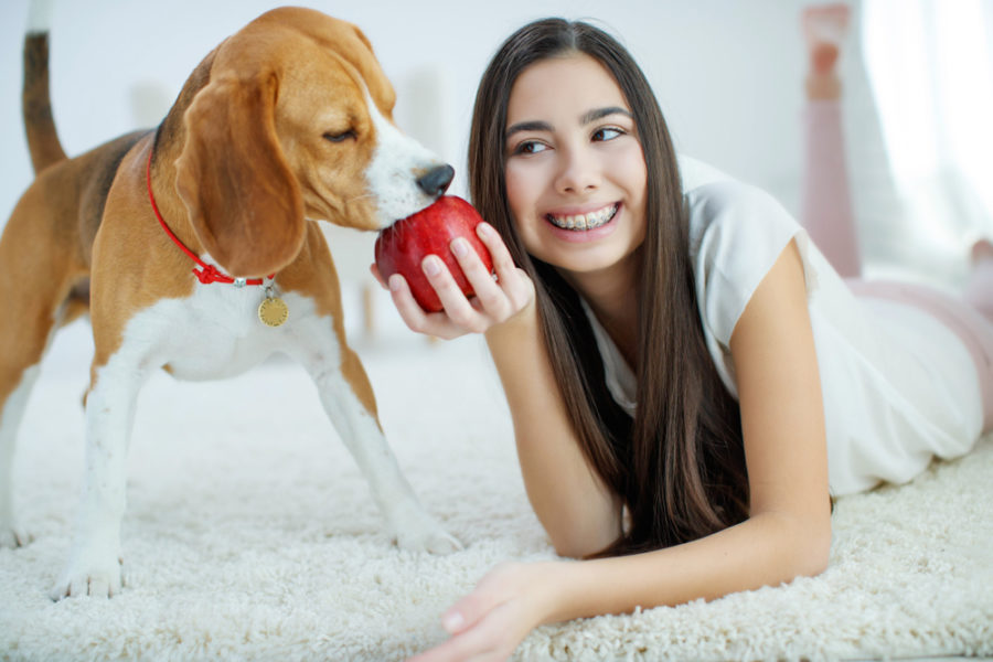 dog-bites-apple-from-girl